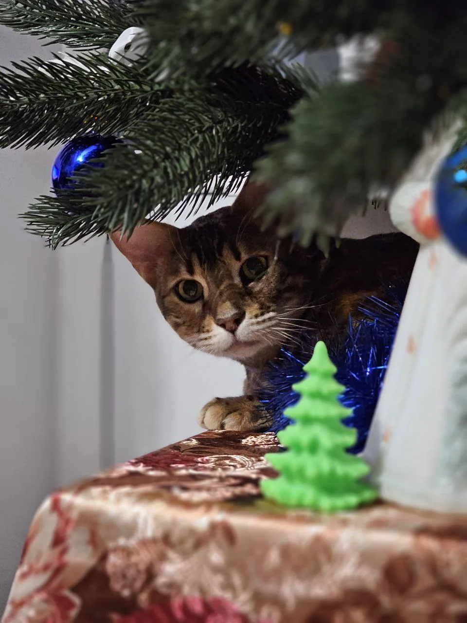 31.12.24 г.