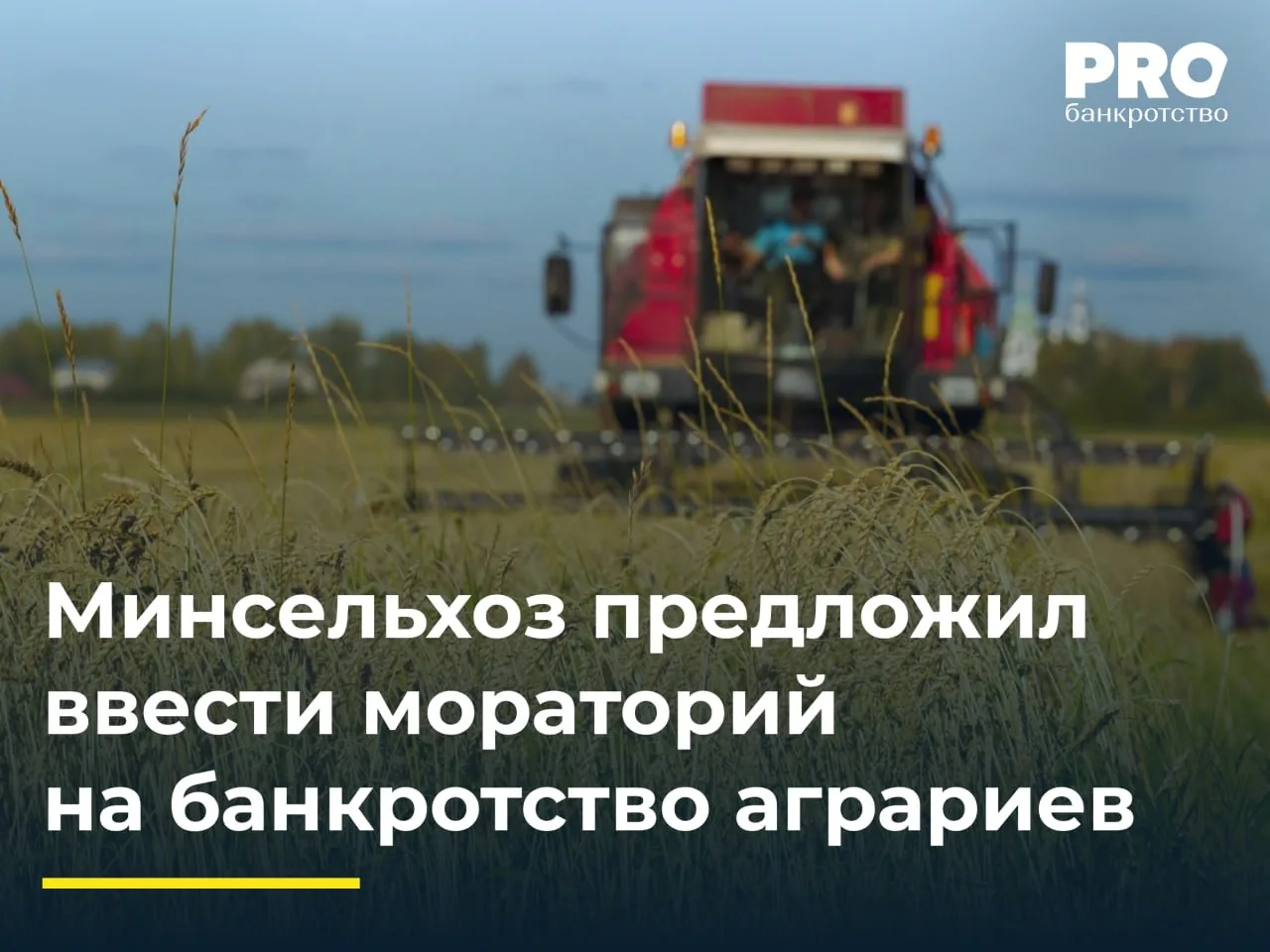 🌾 Минсельхоз предложил ввести мораторий на банкротство зерновиков