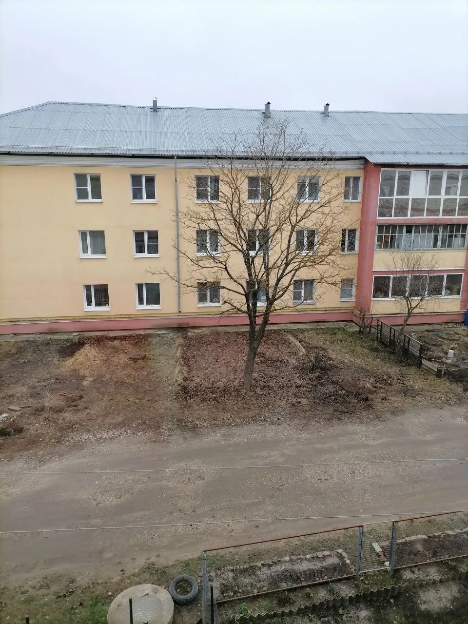 От читателя:  Кому то клен помешал....