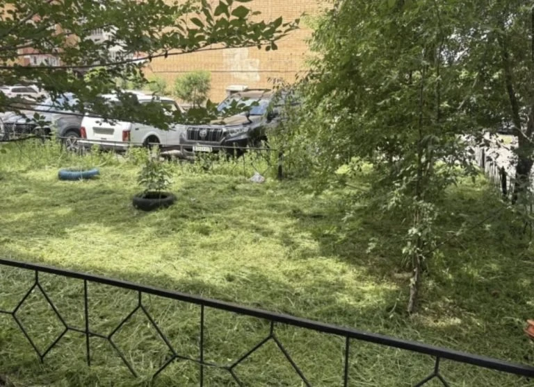 Траву скосили на площади в 40 футбольных полей в Чите за июнь