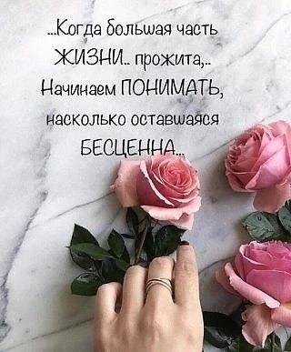 #цитаты