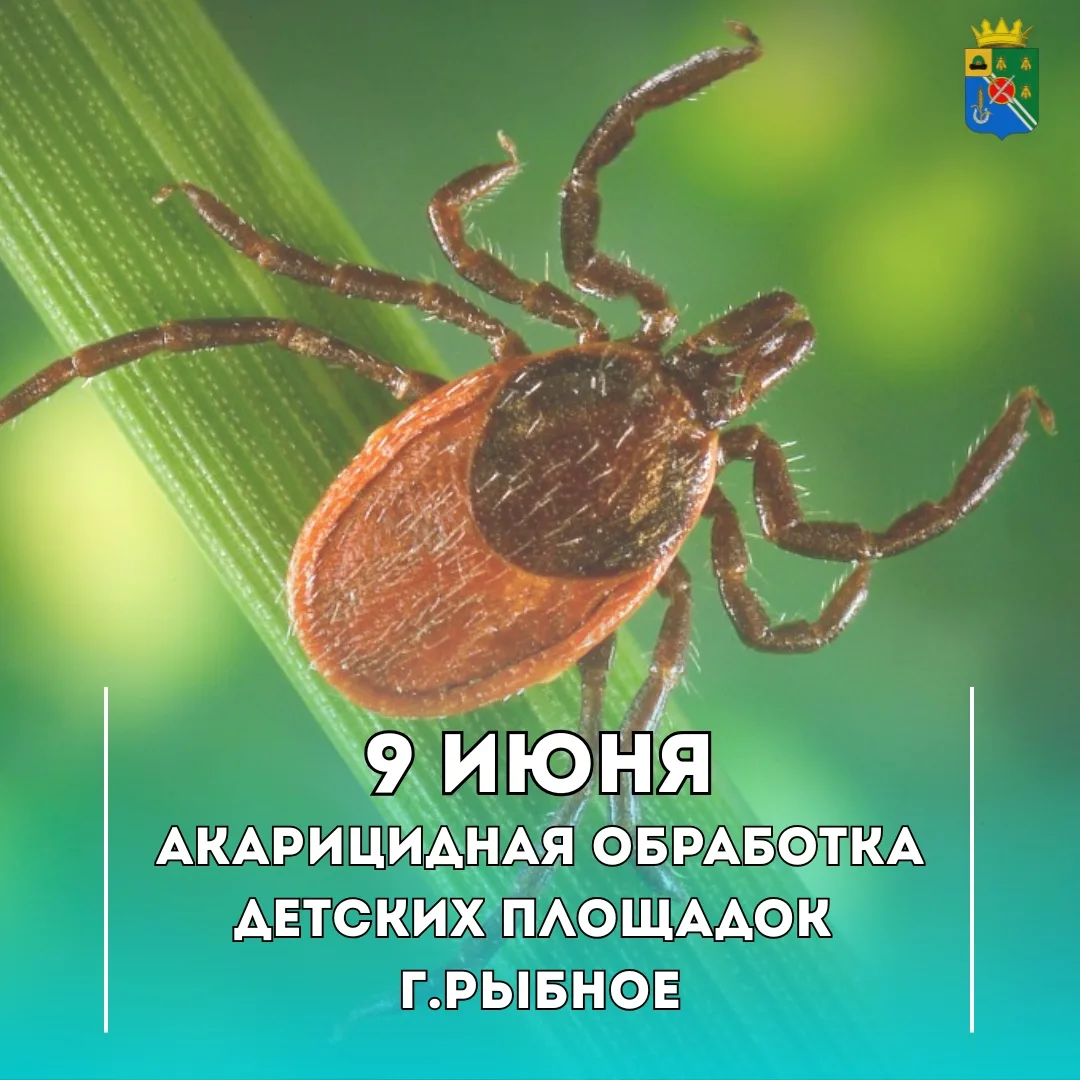 🌿 Заботимся о безопасности жителей!

9 июня в городе Рыбное пройдет акарицидная обработка детских п