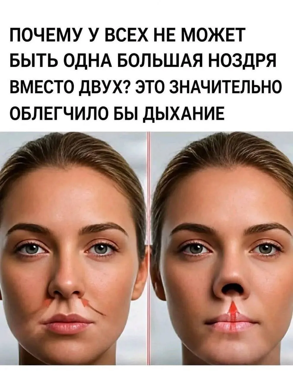 👃 Почему у нас две ноздри?

Оказывается, они работают не одновременно. В течение дня одна ноздря пр