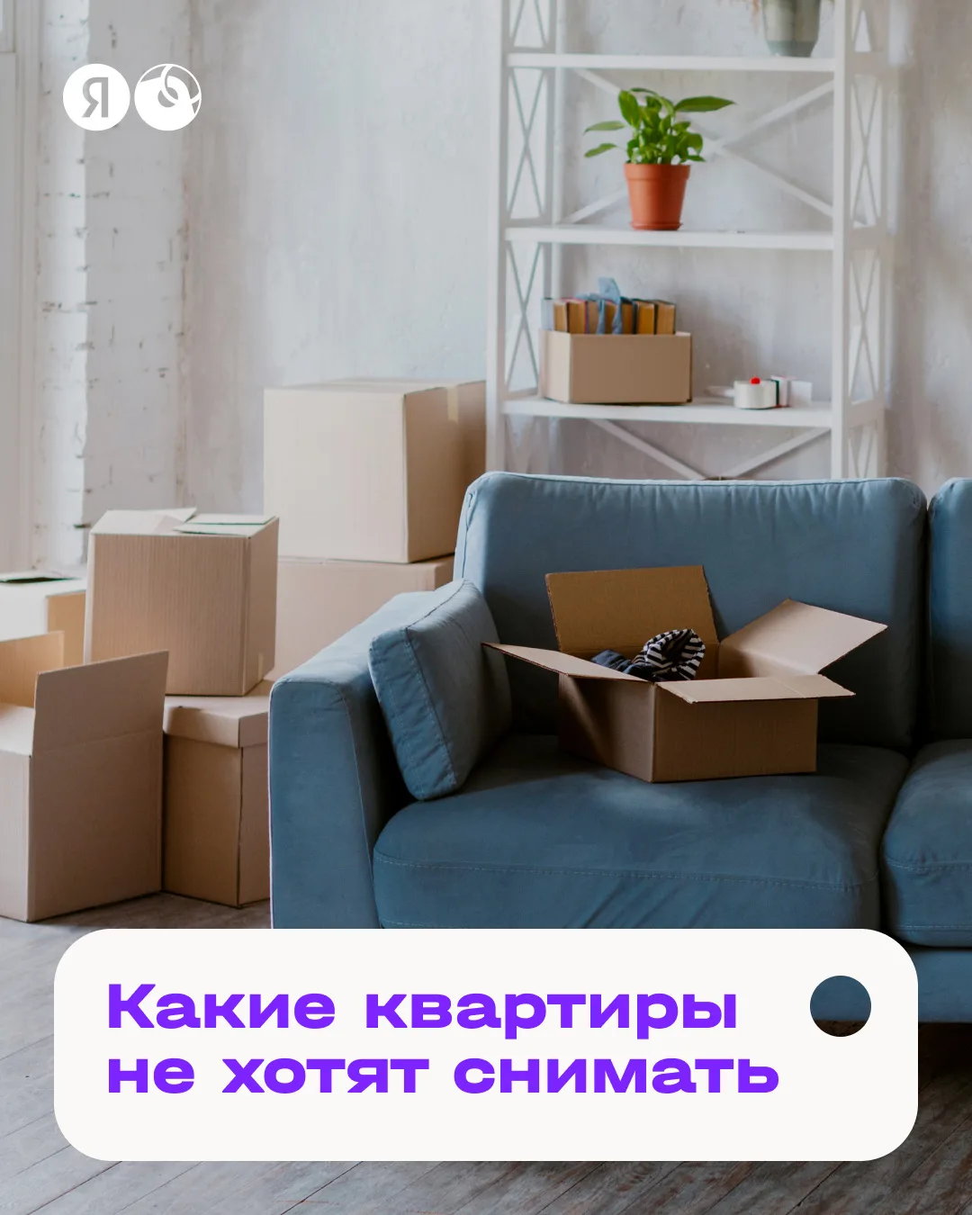 Антитренды в аренде 🏠