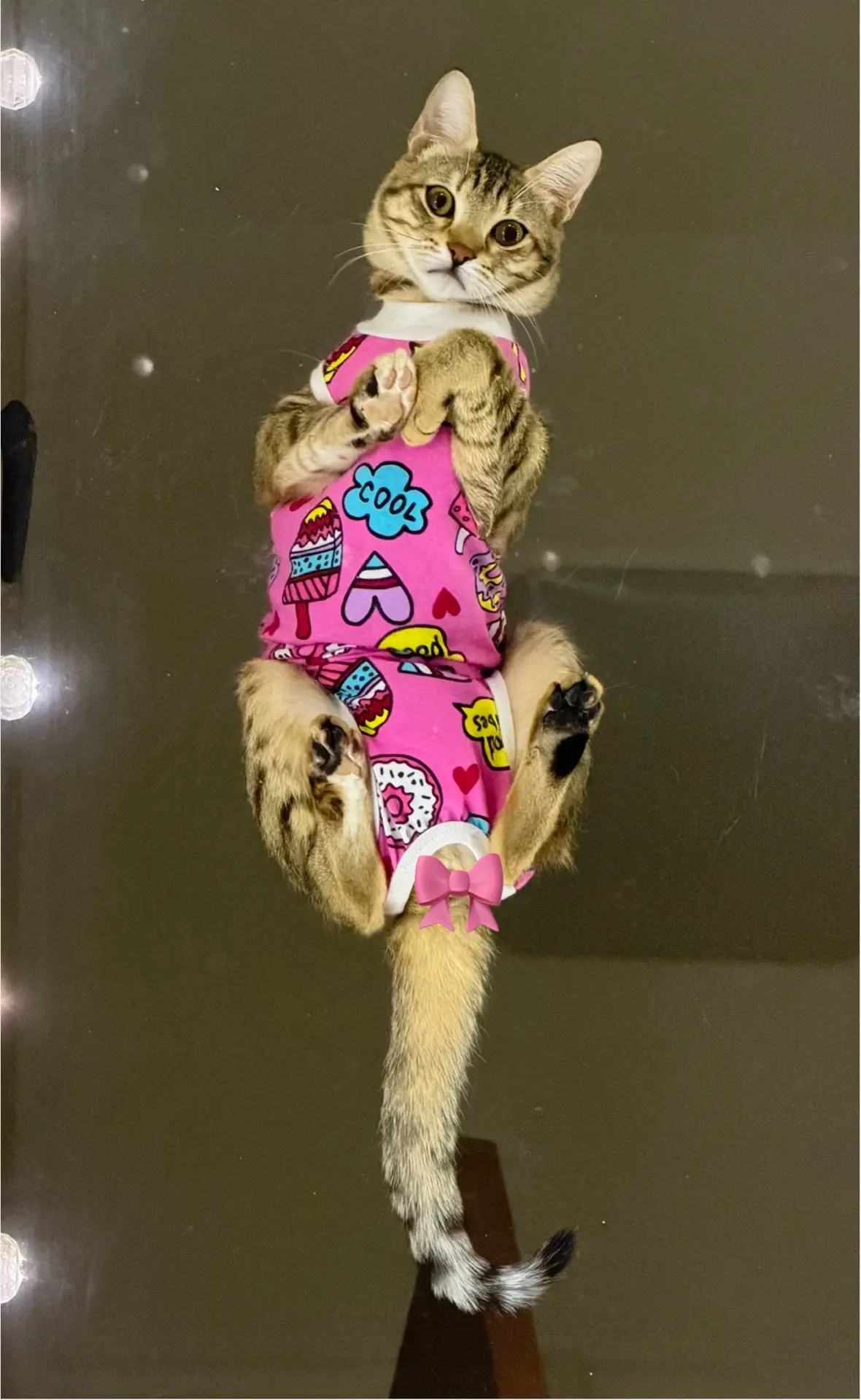 🎀