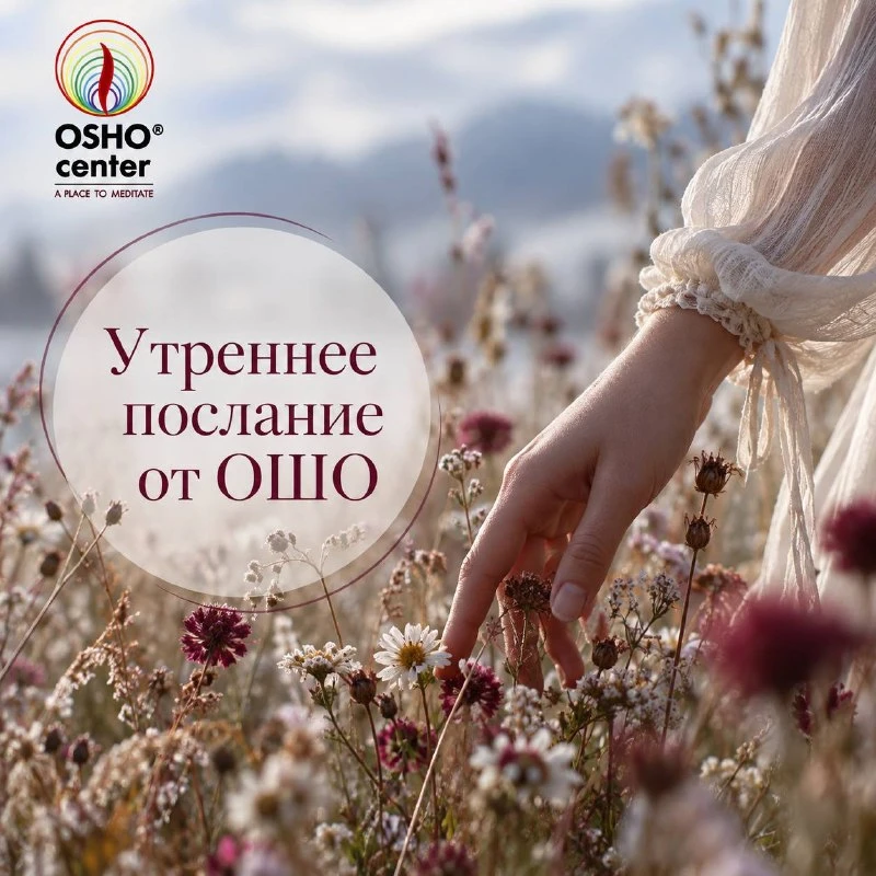#послание_от_ошо