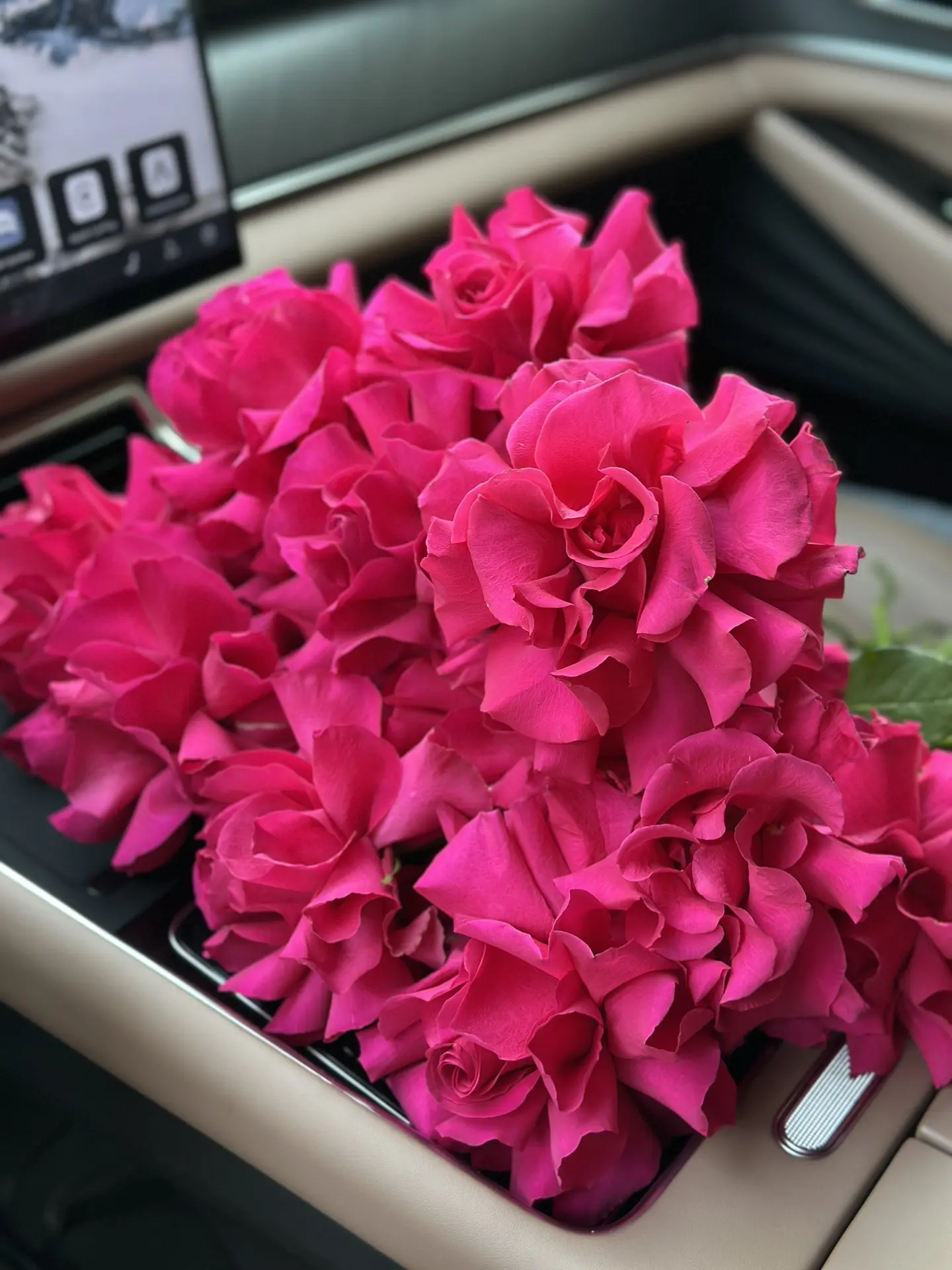 Ярко-розовая любовь 💗