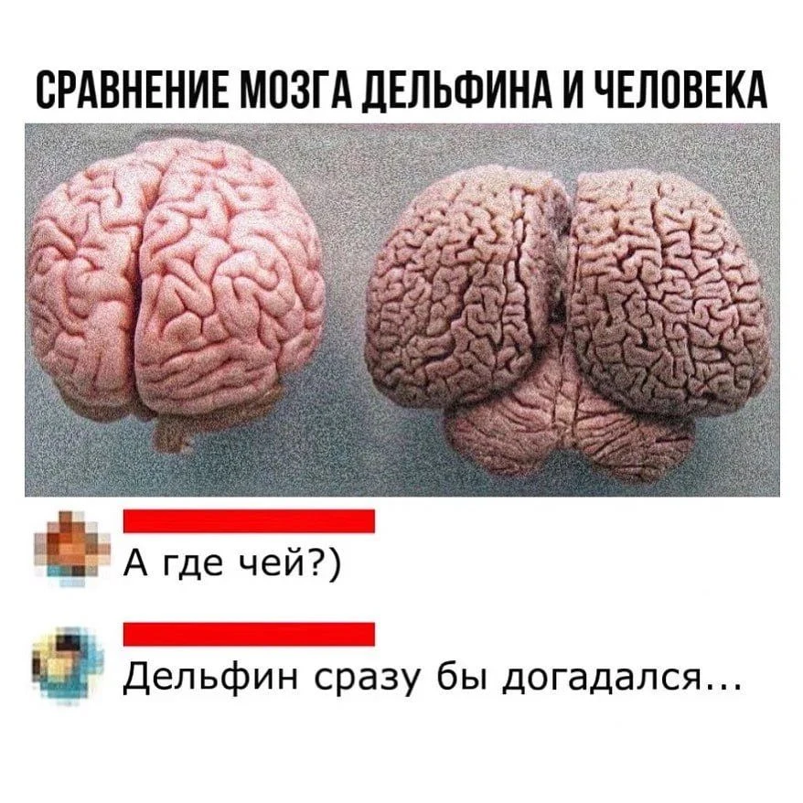 Хиханьки Да Хаханьки • подписаться