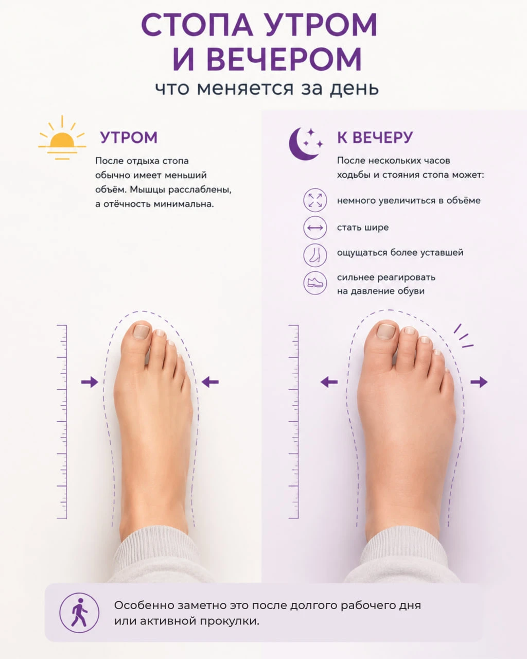 👣 Стопа утром и вечером: что меняется за день?