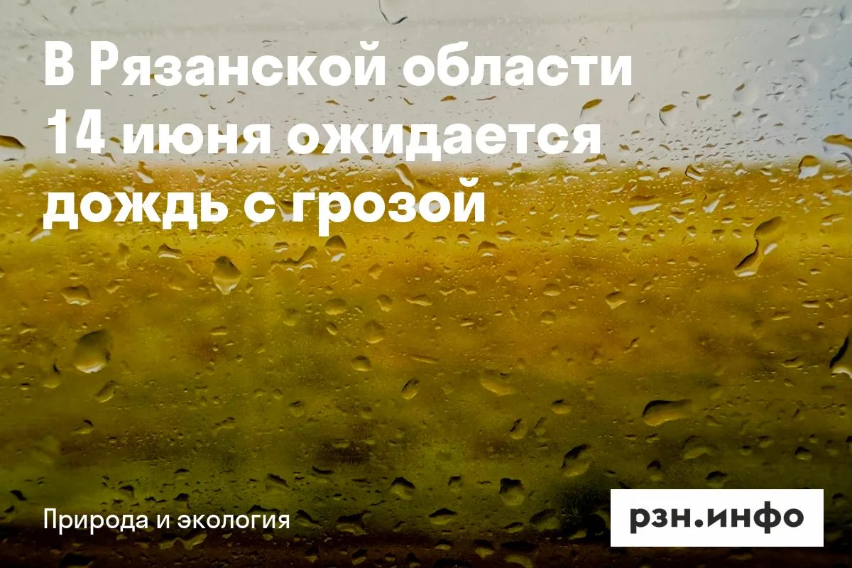 В Рязанской области 14 июня ожидается дождь с грозой
В области будет переменная облачность. Ожидаетс