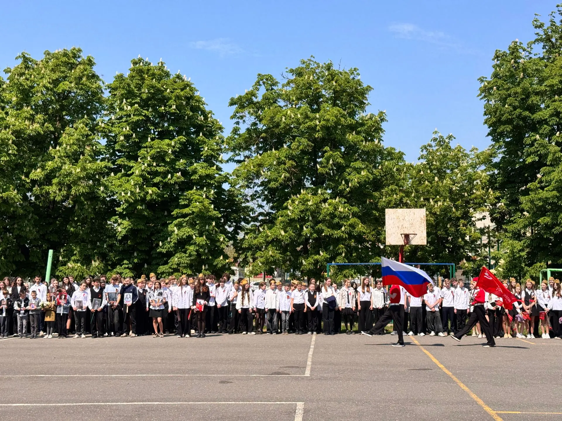 Завершается Неделя Победы, посвященная 81 годовщине Победы в Великой Отечественной войне.  Она была 