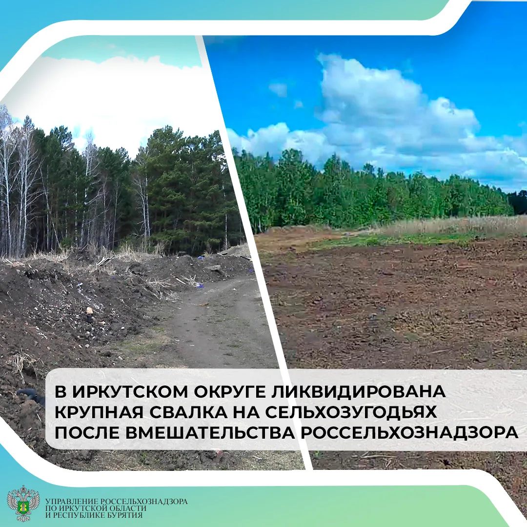 Управление Россельхознадзора по Иркутской области и Республике Бурятия сообщает об успешном устранен