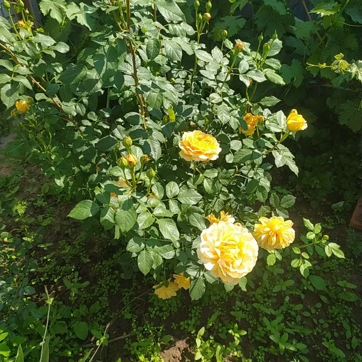 Вставайте с той ноги, с которой хочется танцевать!💃🕺

Счастливого дня. И пусть в нем будет много с