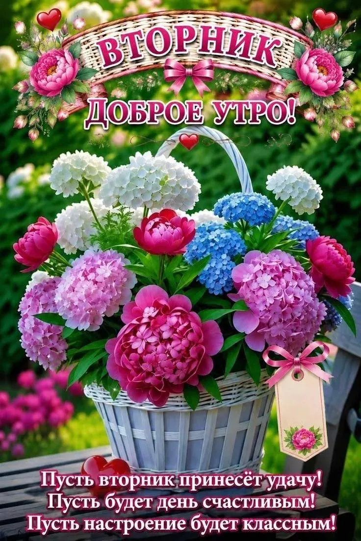 #доброеутро 🌺

🤗 Пусть это утро зарядит вас энергией 🔋, а удача 🍀 станет вашим верным спутником 