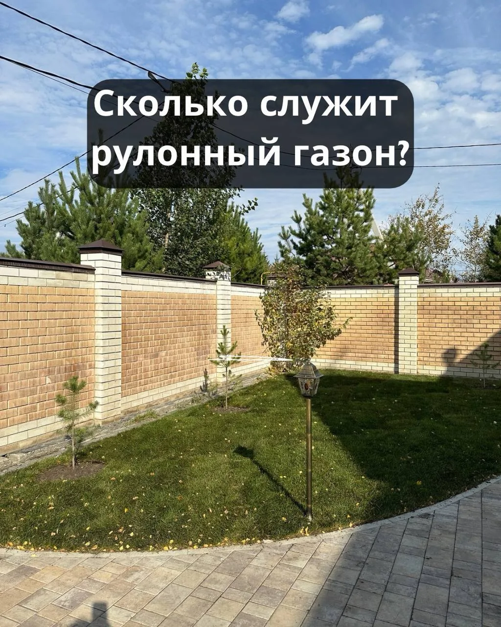 Сколько служит рулонный газон? 🌱

Рулонный газон — быстрый способ получить ровный зелёный ковёр на 