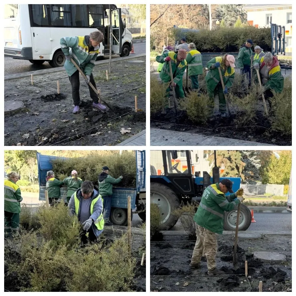 🌿🌱  На улице Николая Чумичова в Белгороде делают живую изгородь.