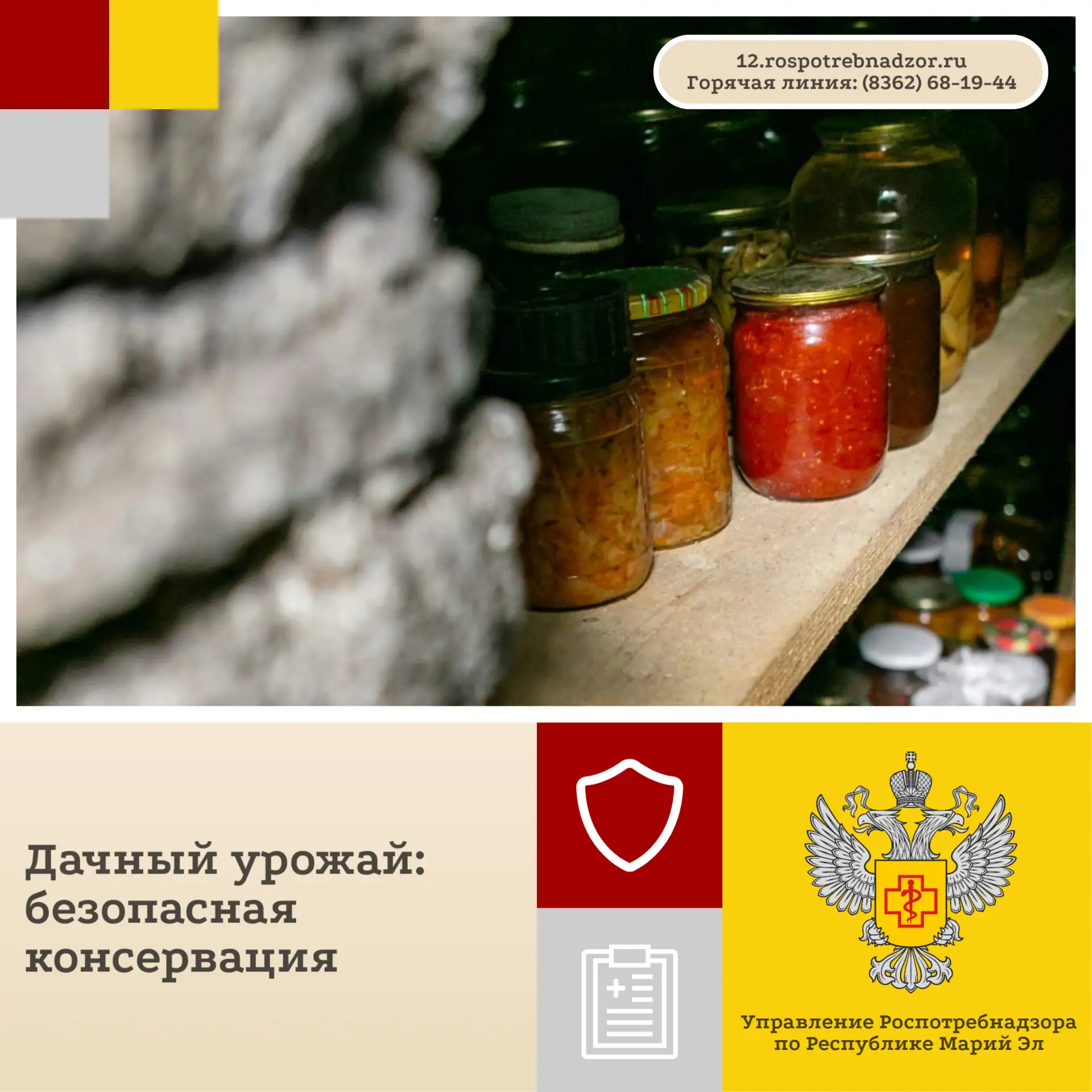 Безопасная консервация дачного урожая требует строгого соблюдения технологии на всех эт...