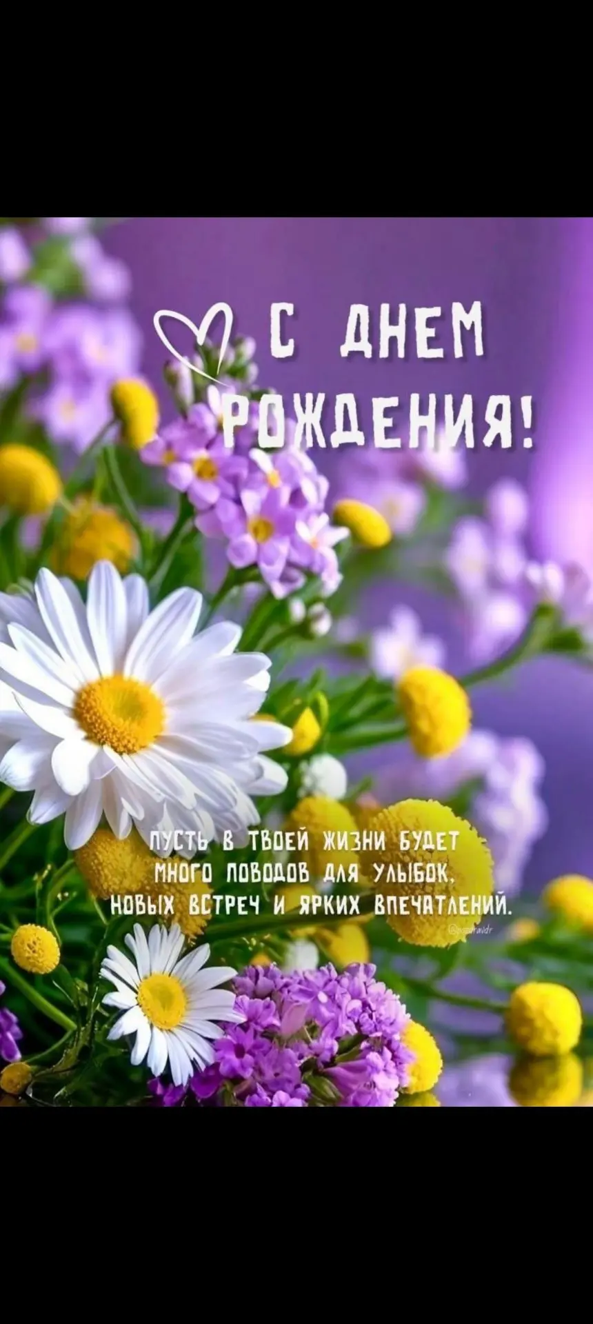 Поздравляем с Днем рождения Исаеву Назилу Амлет кзы!