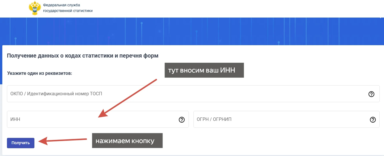 📢 Когда и как ИП отчитываться в Росстат?