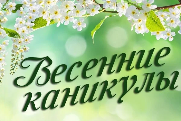 Весенние каникулы: отдыхаем с пользой и безопасно 🌸