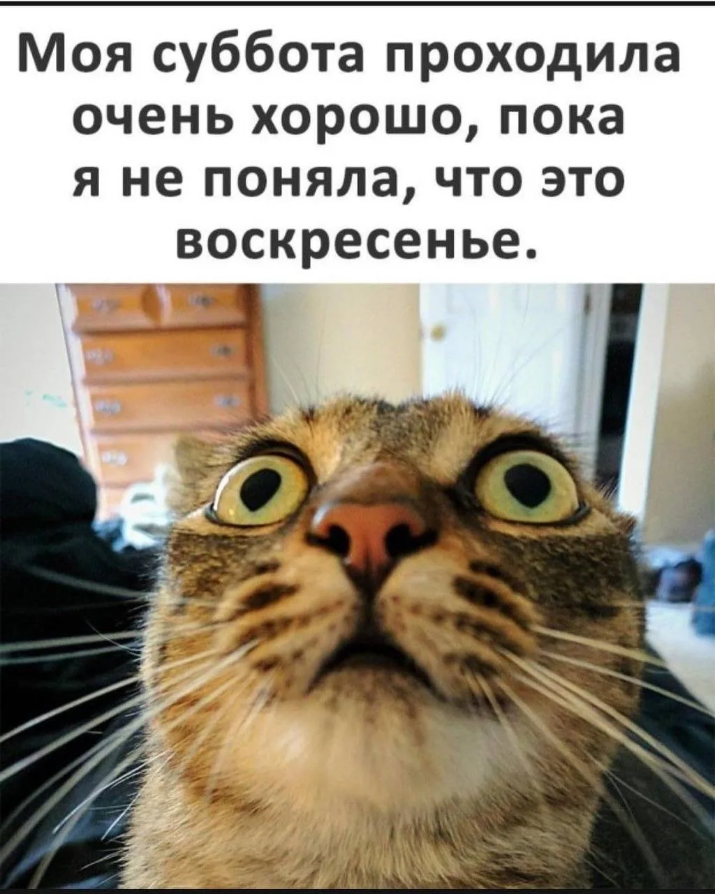 Спасибо за реакции — очень ценю!