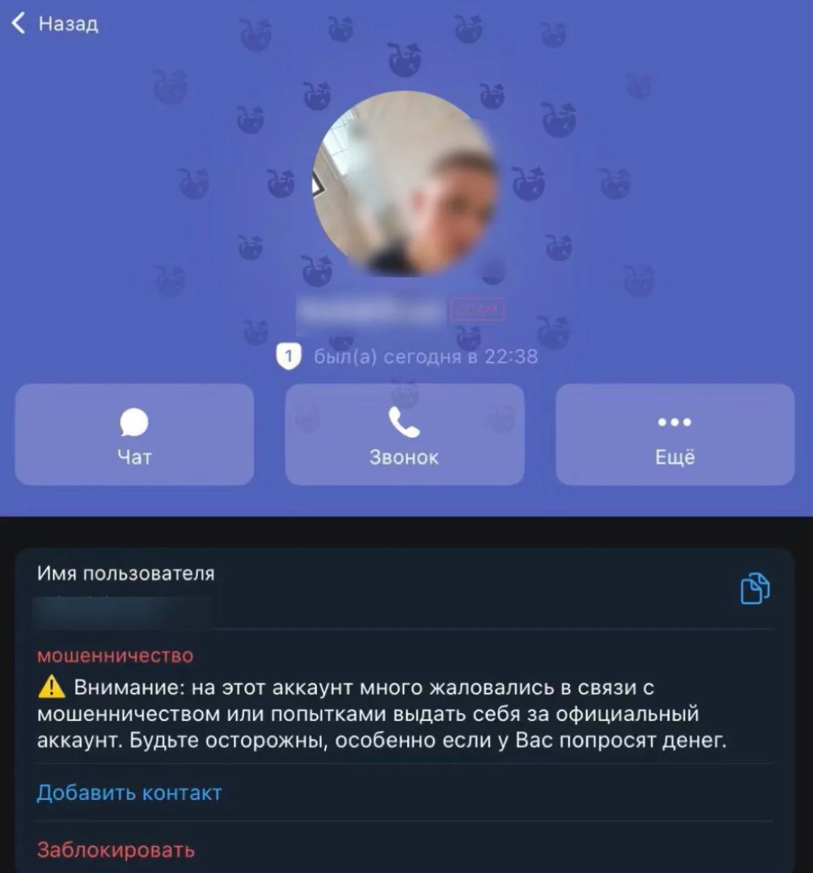 Сын Павла Дурова — скамер. Как утверждается СМИ, 16-летний Михаил Дуров писал людям и предлагал купи