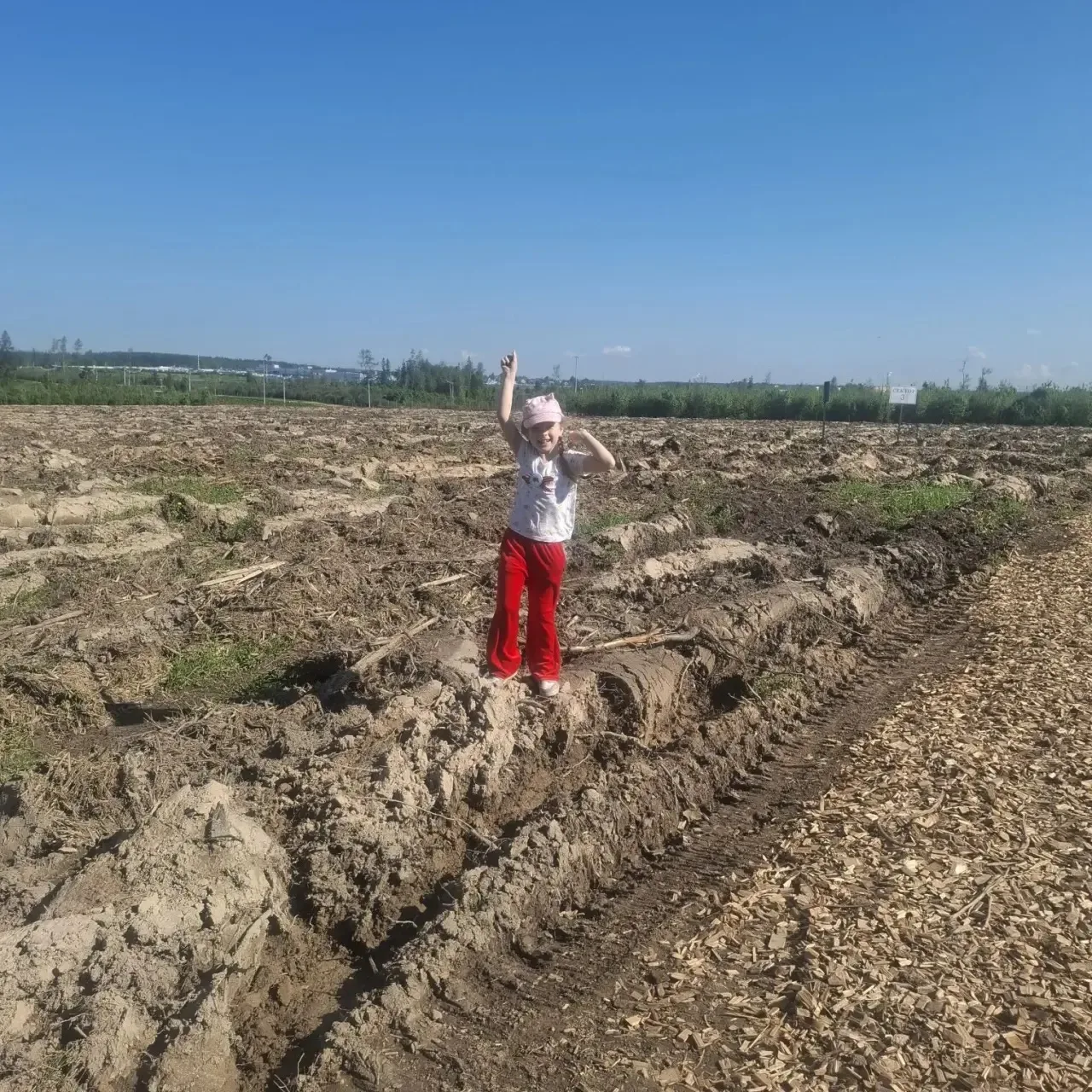🌱 «Сад Памяти» — живая память поколений  Ученица 1 «Ж» класса Маковкина Злата вместе с родителями пр