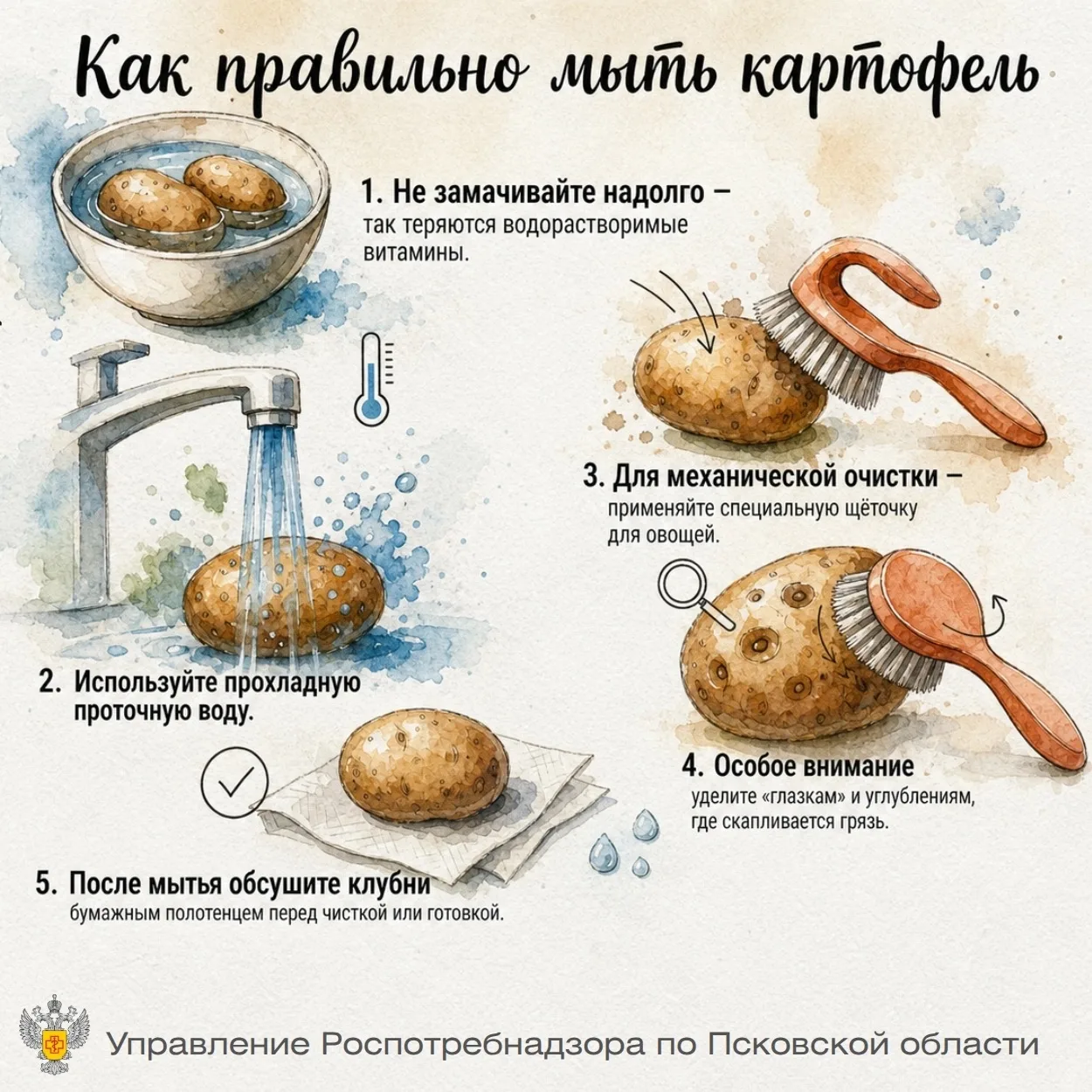 Почему картошку нужно мыть, и не просто споласкивать? Давайте разберемся сегодня, в Ден...