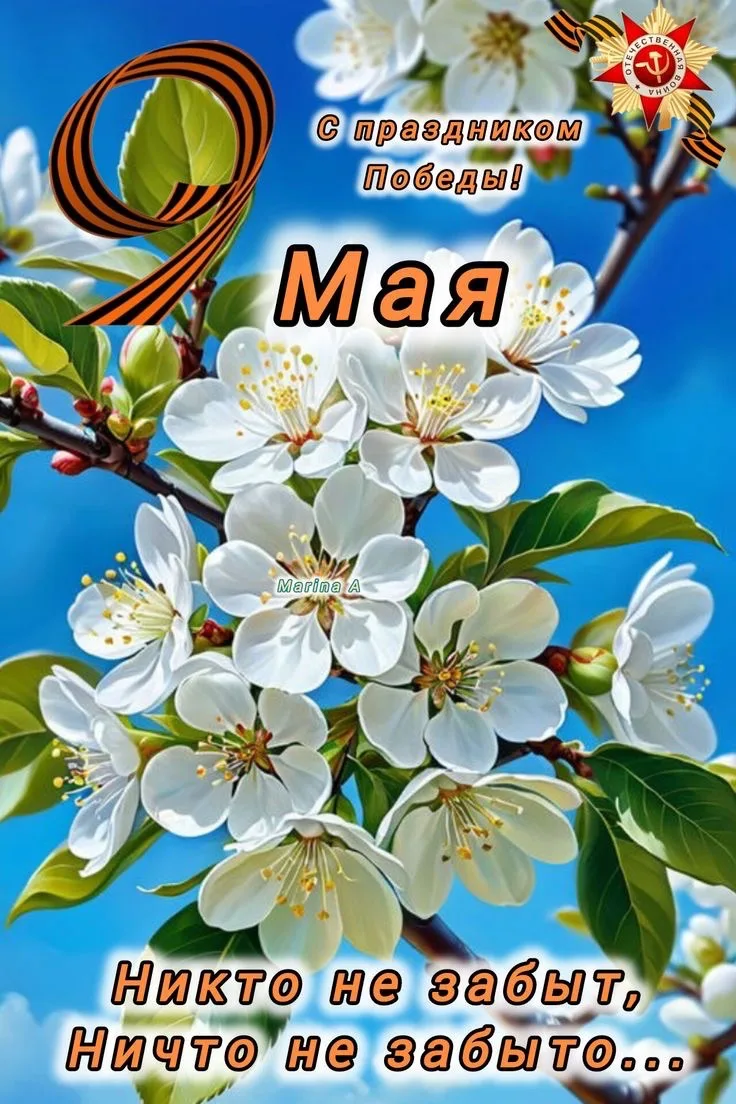 С Днём Великой Победы! 🕊️

Дорогие друзья, коллеги, родители! Сегодня мы отмечаем 9 Мая — день, кот