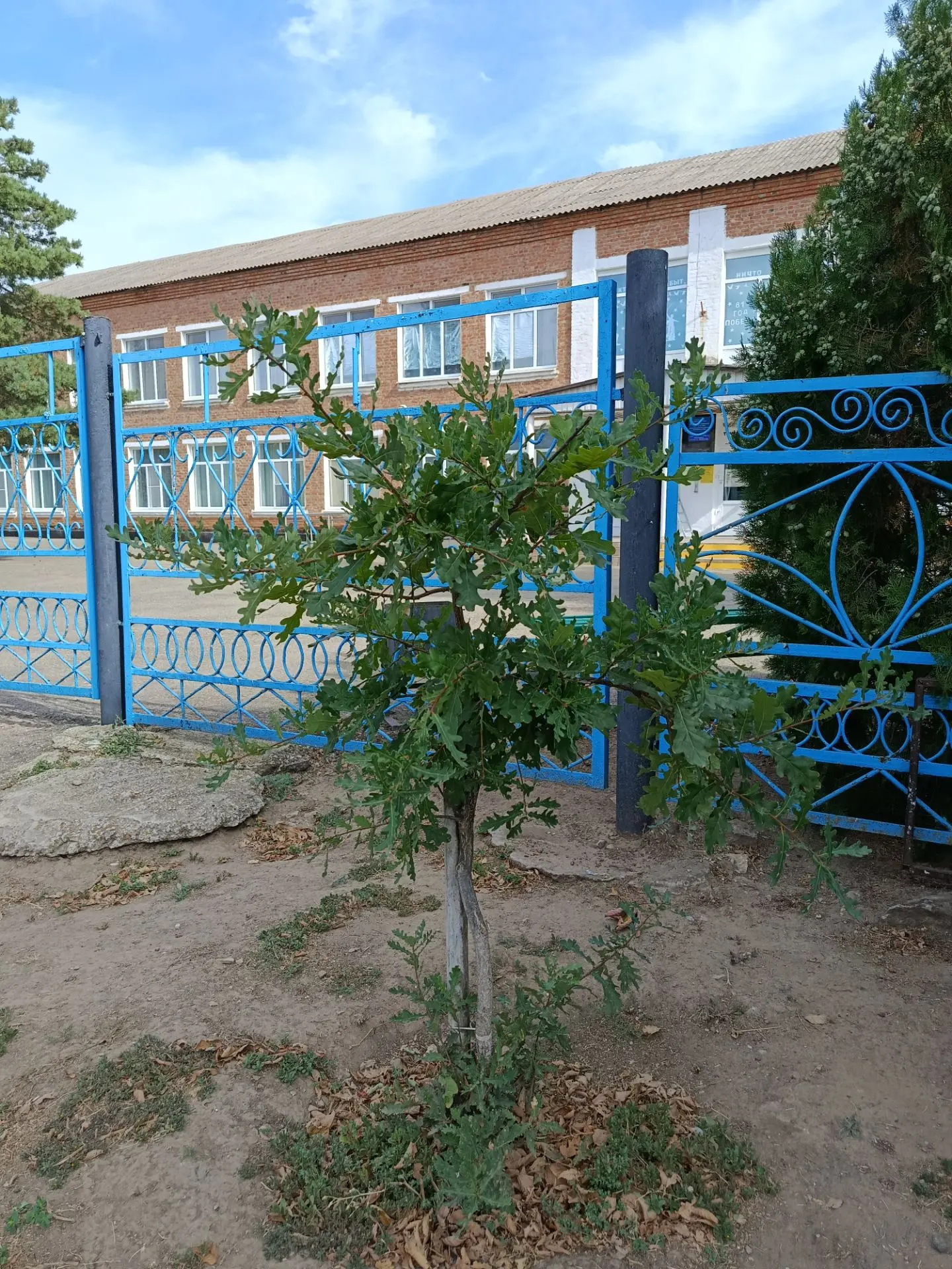 Мир не без добрых людей🫶