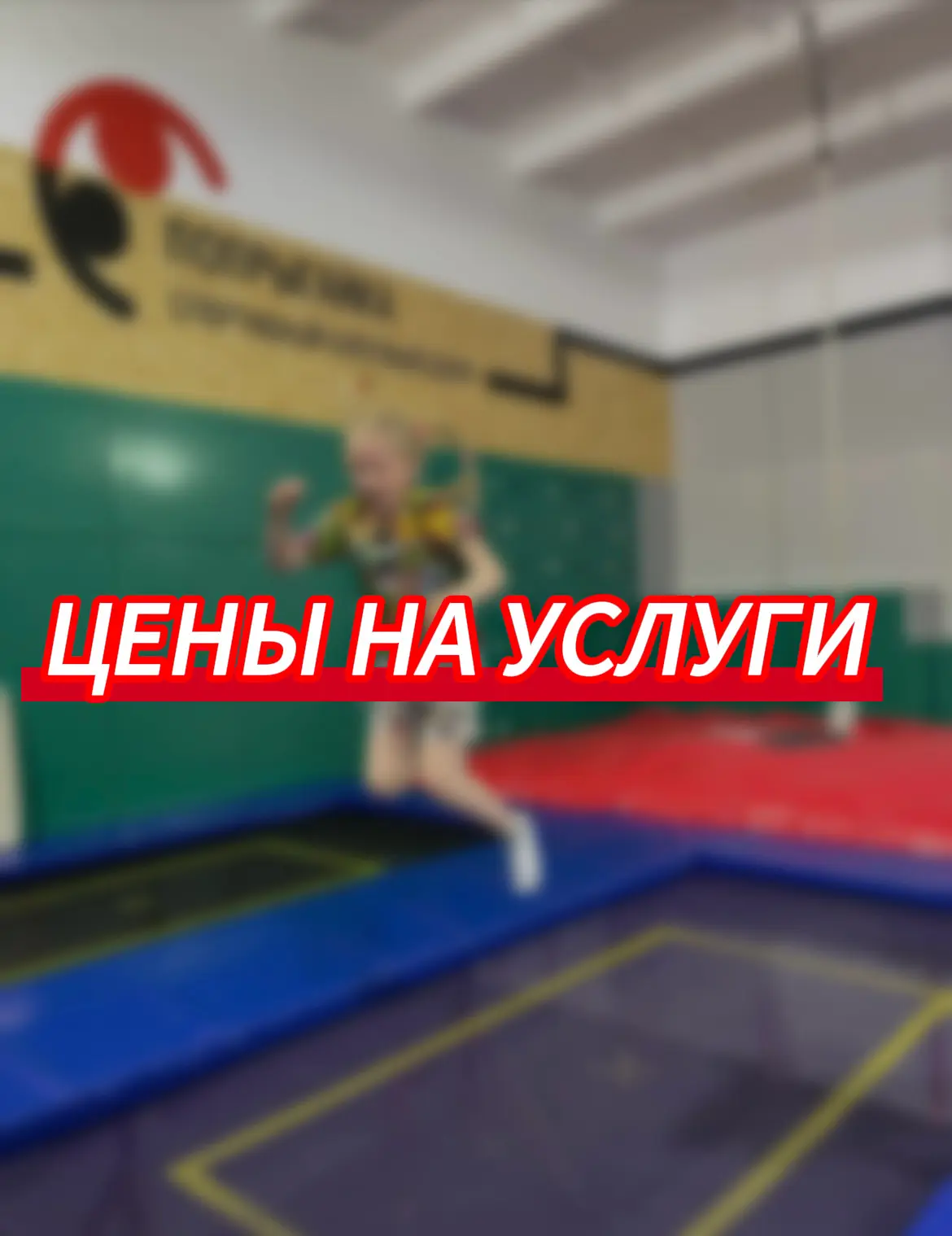 ТРЕНИРОВКИ: