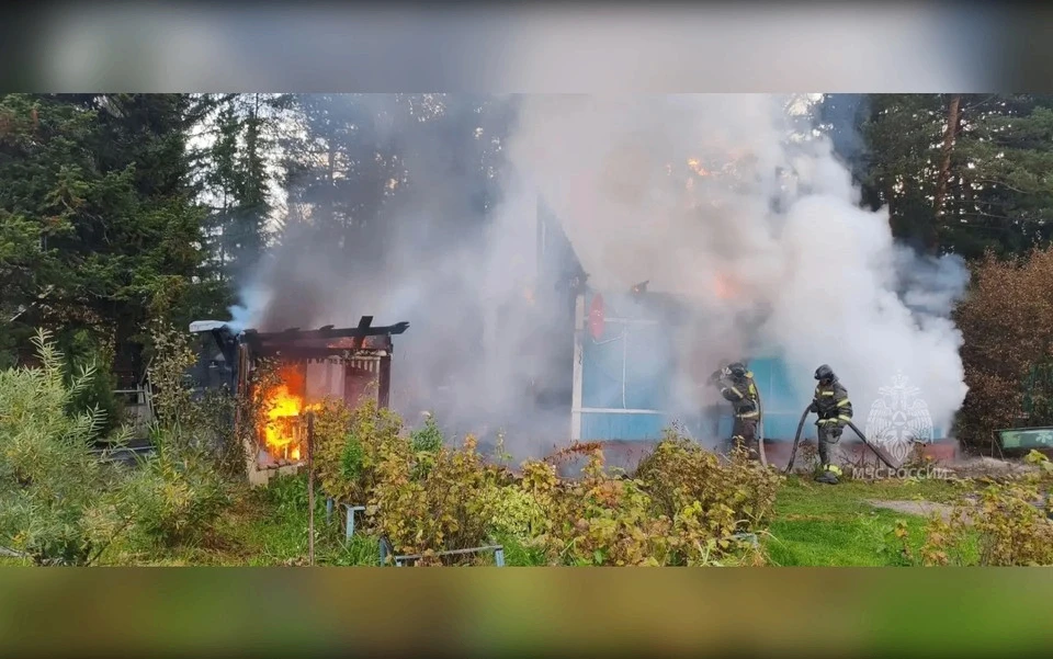 🚒 В Красноярском крае за сутки потушили восемь пожаров, погибших и пострадавших нет