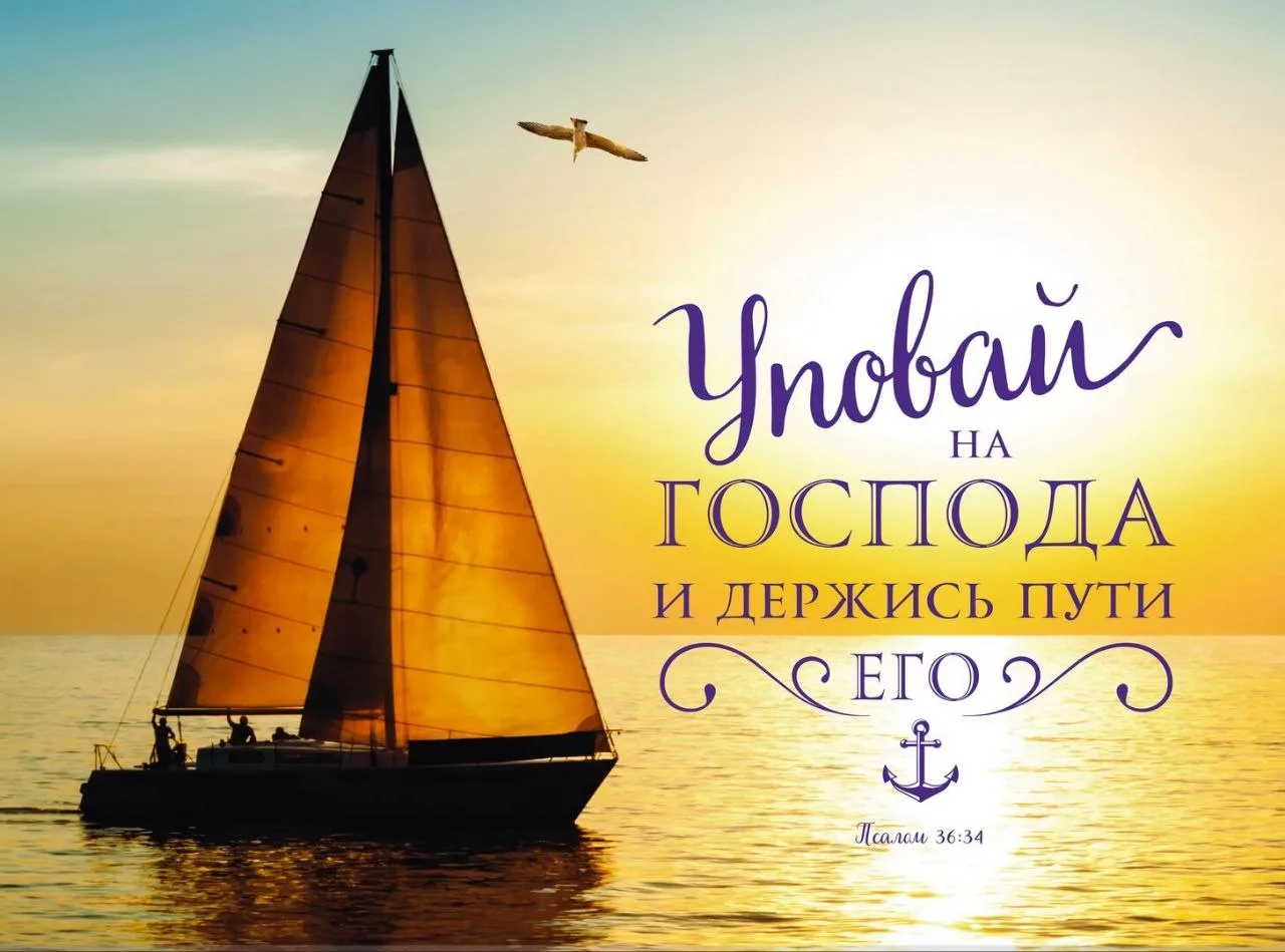 🌿💛🕊🌿💛🕊🌿💛🕊