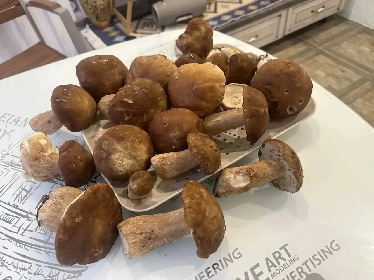 😋 Глава Сасовского округа похвасталась богатым урожаем белых грибов из местных лесопосадок

Евгения