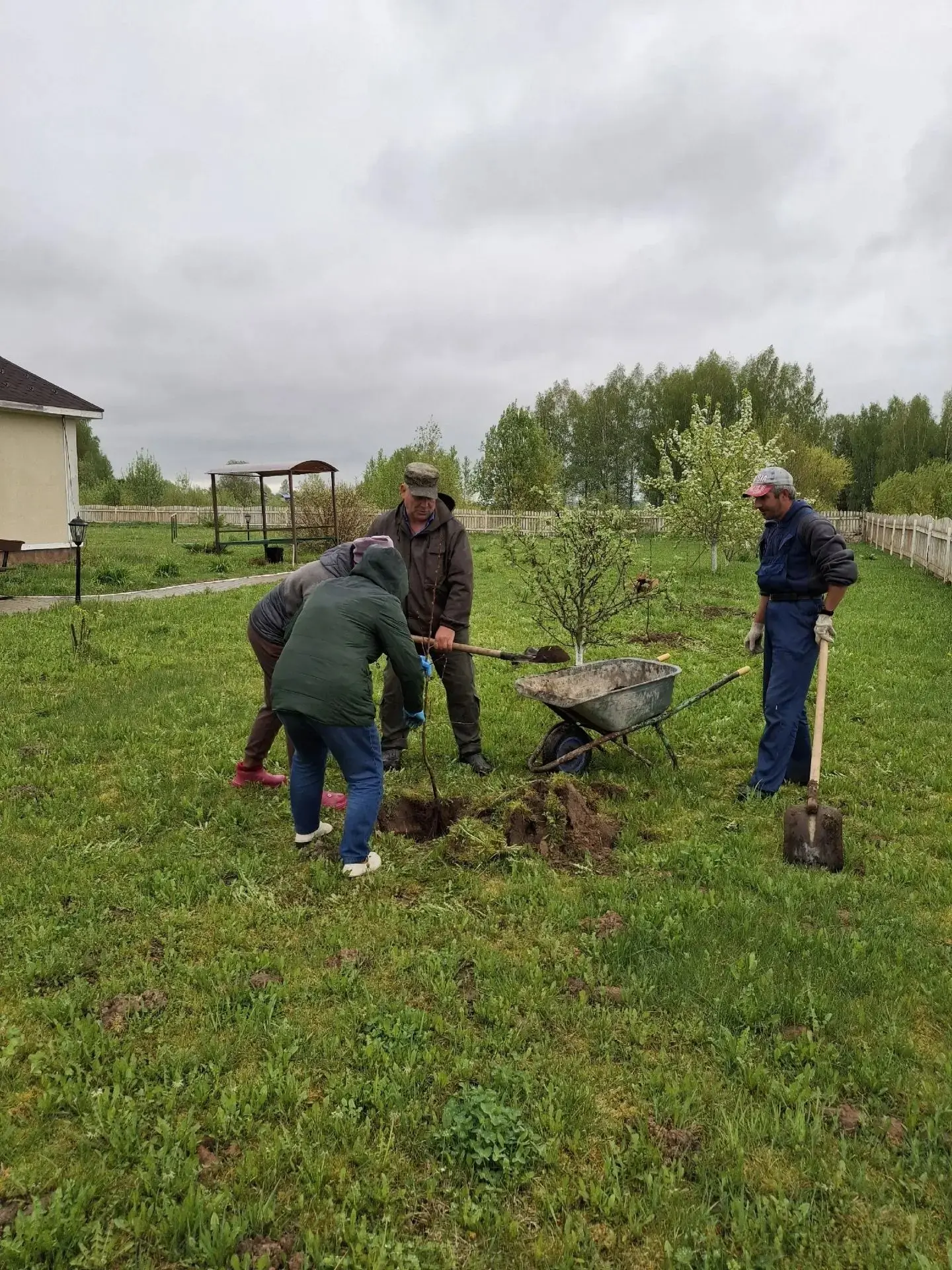 🌿Сад Победы  🏡🌳Днепровский дом-интернат для престарелых и инвалидов принял участие во всероссийской 