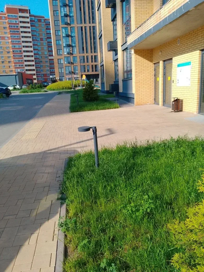 Доброе утро, дорогие жители!
Как ваше настроение в этот солнечный день?

Надеемся, что оно — как пог