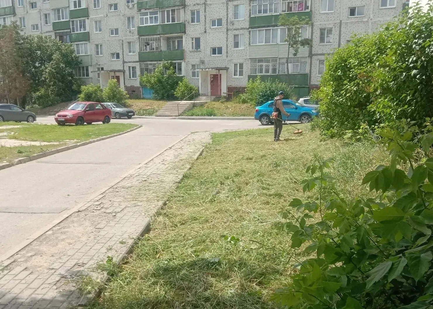 🧹 Тайная жизнь вашего двора: что происходит, пока город спит?

Мало кто задумывается, но идеальный 