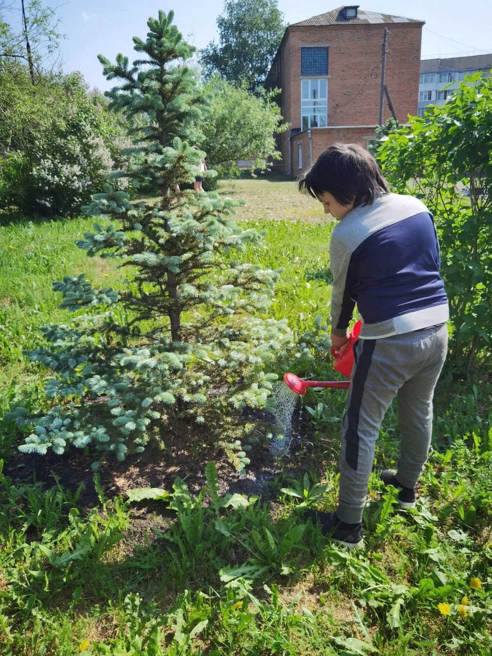 🧤🌷🌱Трудовая практика🌱🌹 🧤

📆📋🧤В нашей школе продолжается летняя трудовая практика! Наши школ