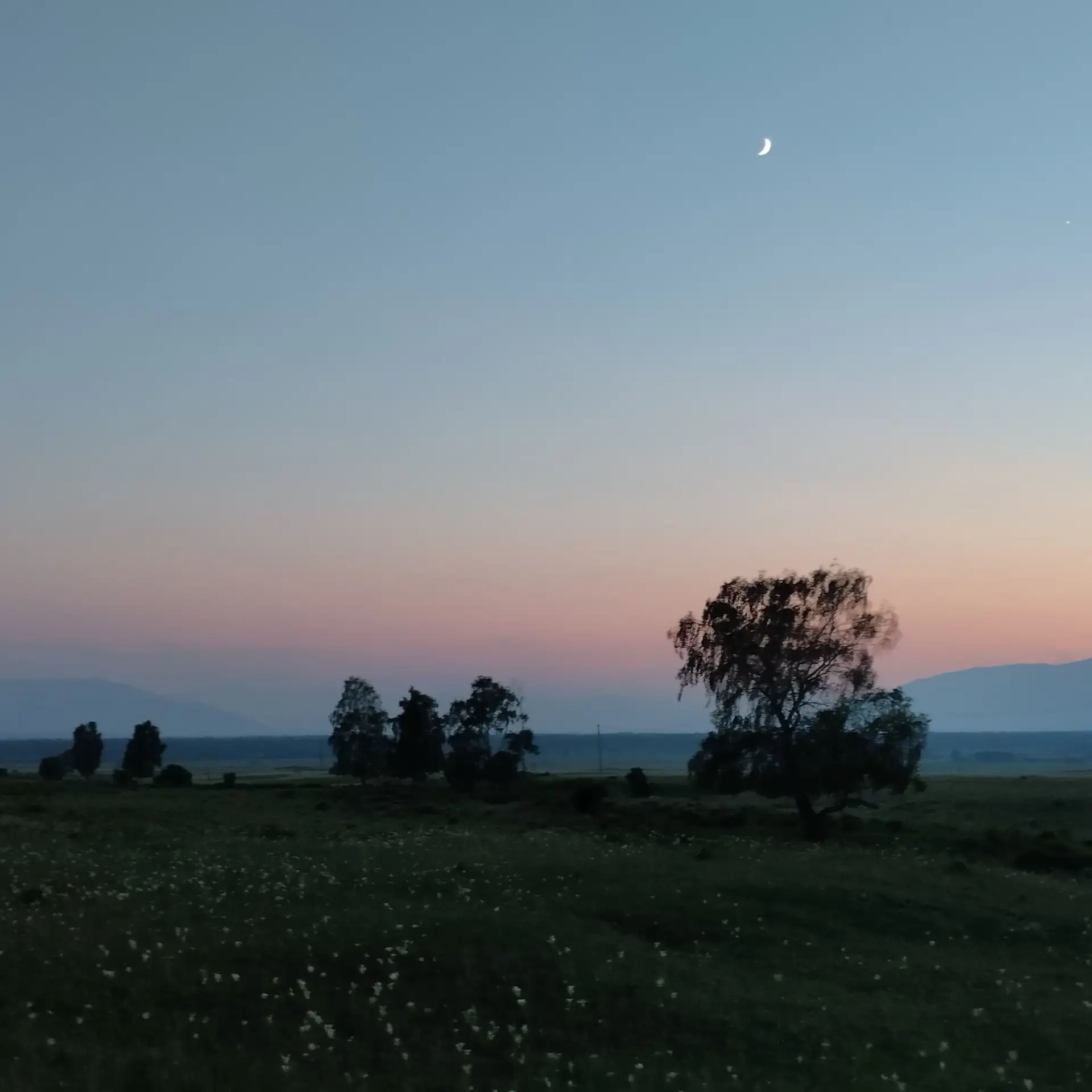 Закатомания