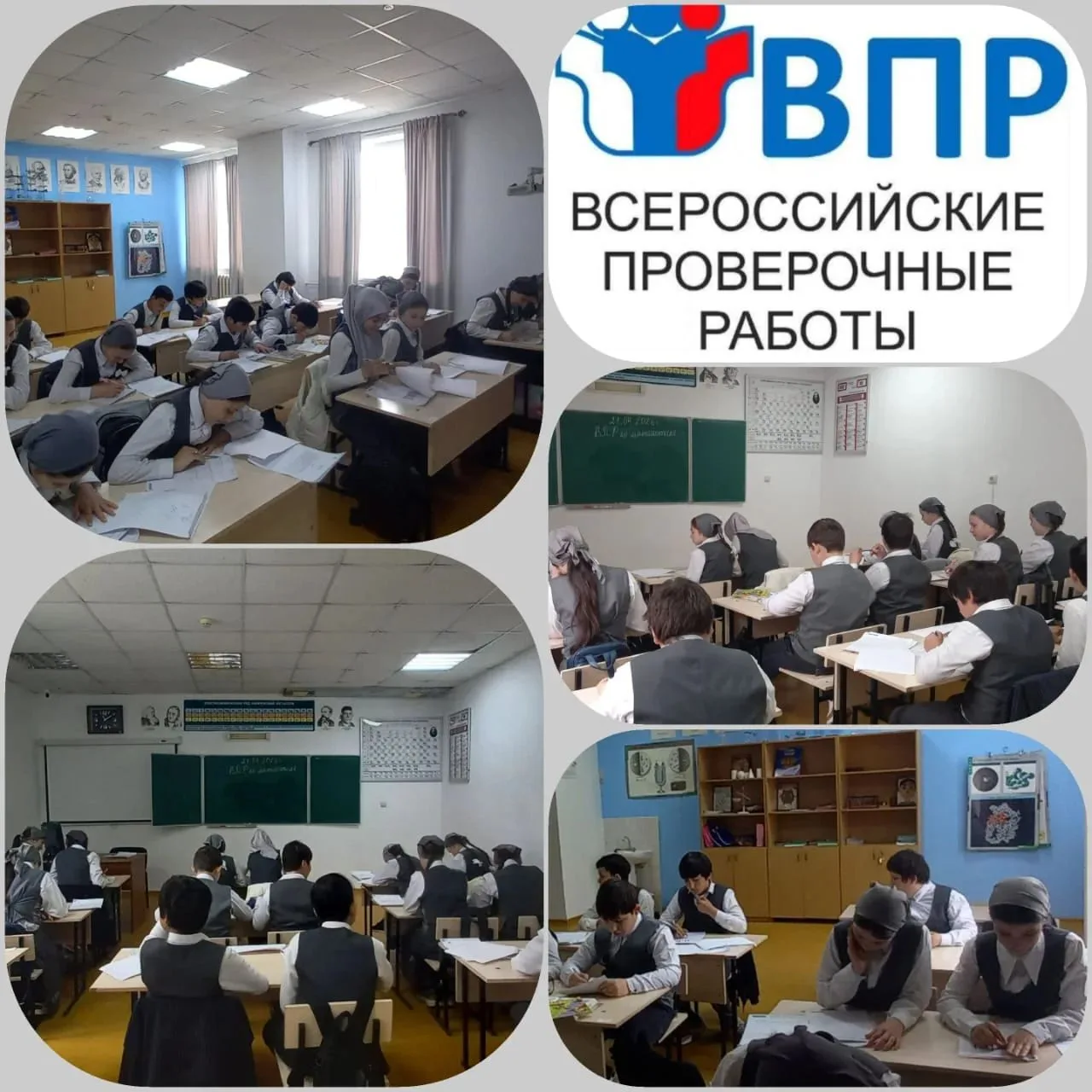 В МБОУ «СОШ с.п. Зебир-Юрт»  в 5 классе проведена Всероссийская проверочная работа по м...