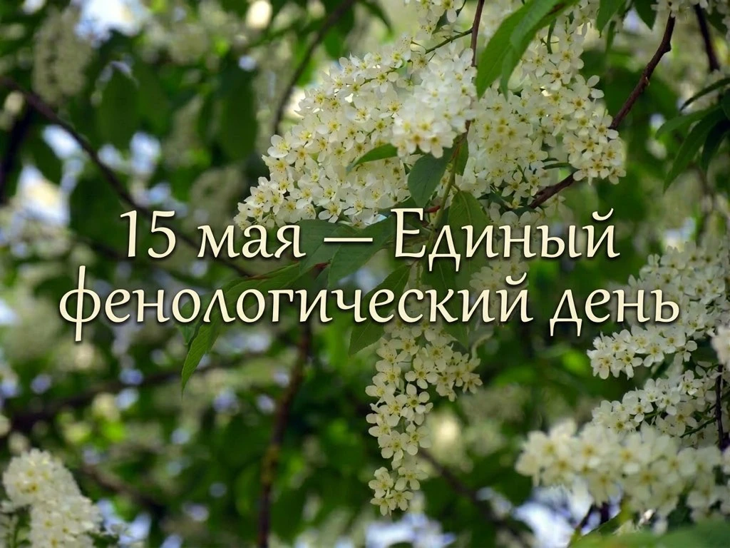 📢 Проект Русского географического общества «Окружающий мир» приглашает присоединиться к 15-му юбилей