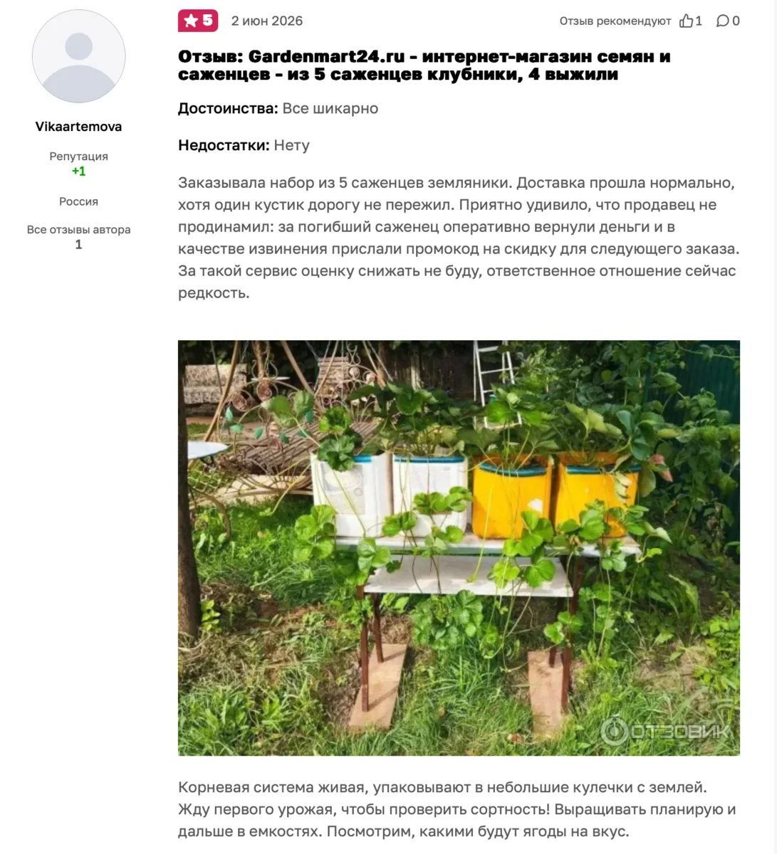 📦 «Один кустик дорогу не пережил — продавец оперативно вернул деньги»

Друзья, иногда в пути случ