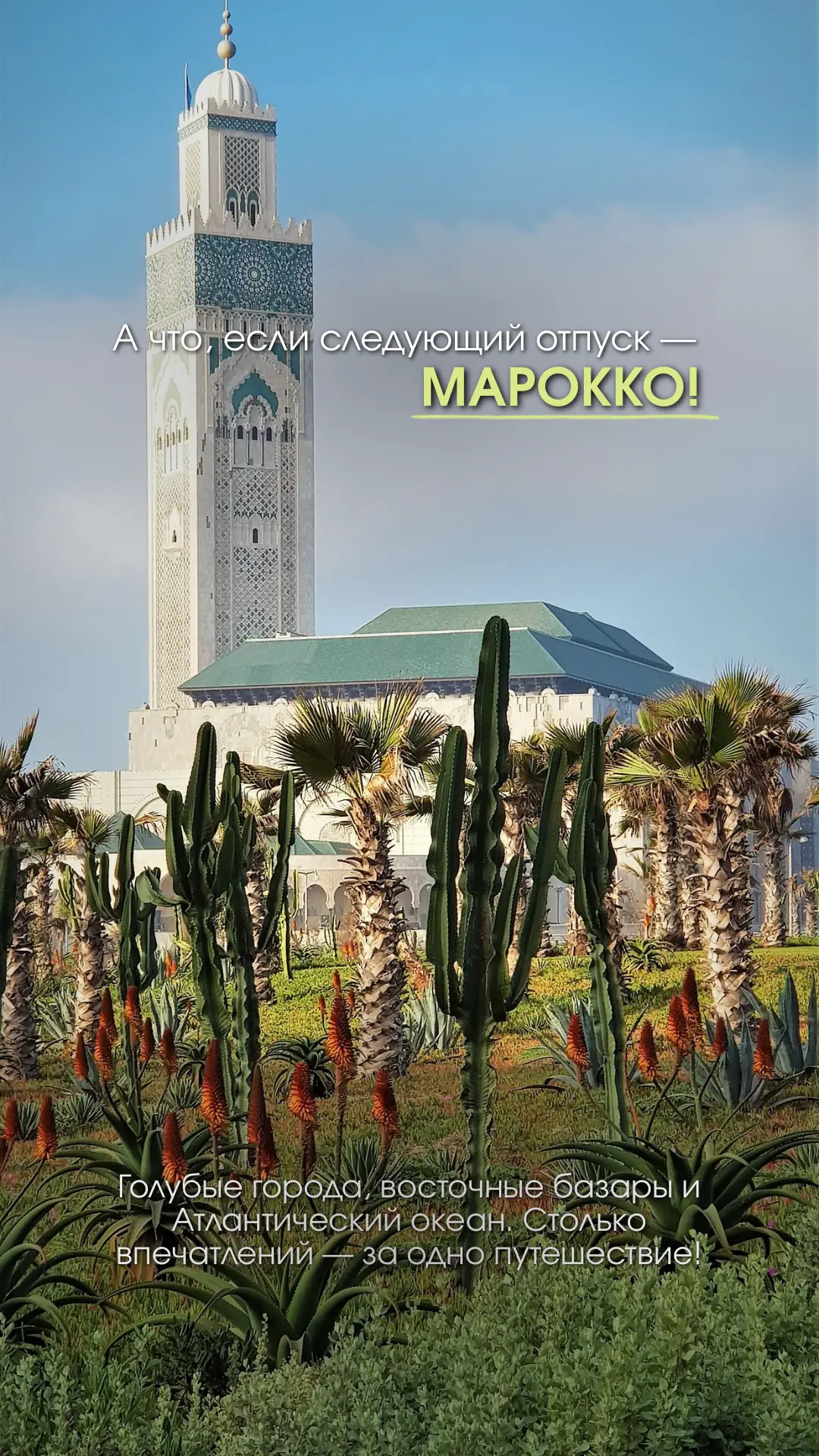 А что, если следующий отпуск — Марокко? 🇲🇦