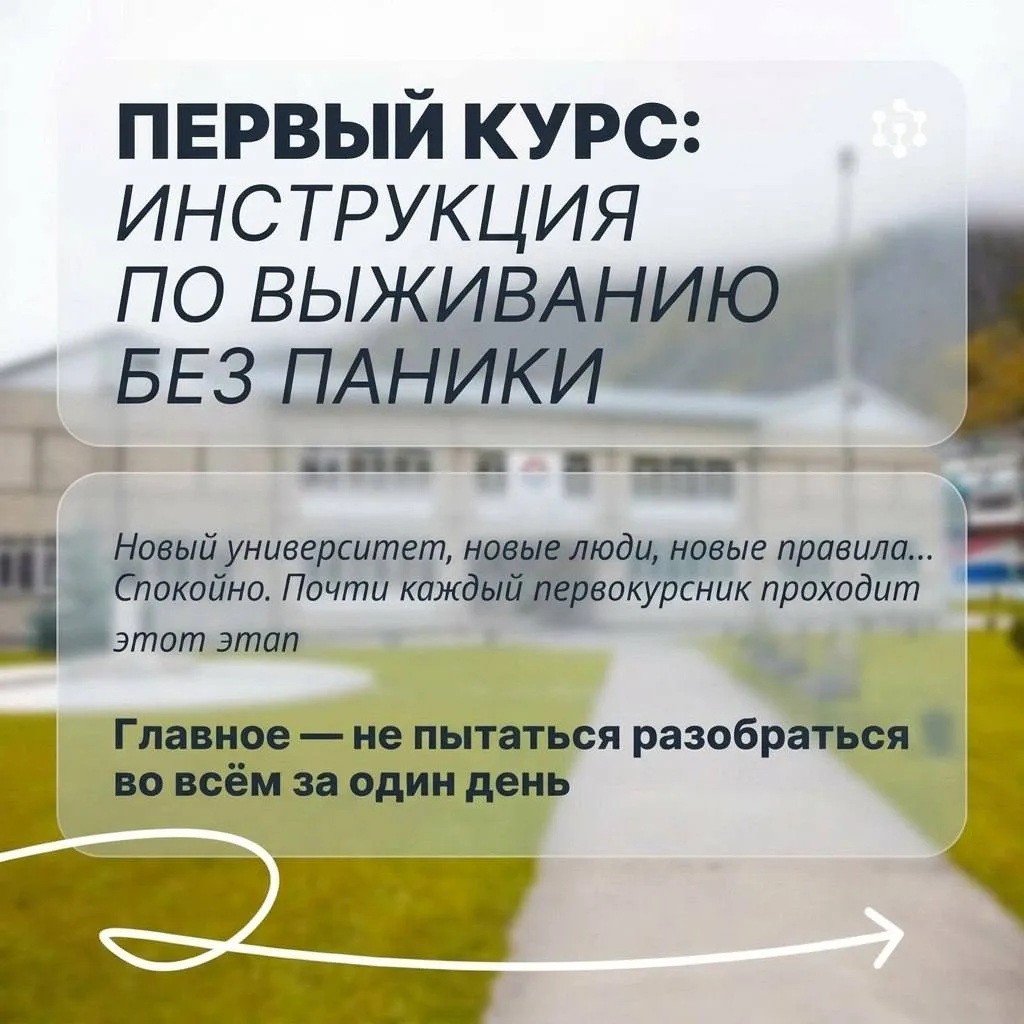 Первый курс — это немного хаоса, куча новых лиц и вечный вопрос «а что вообще происходи...