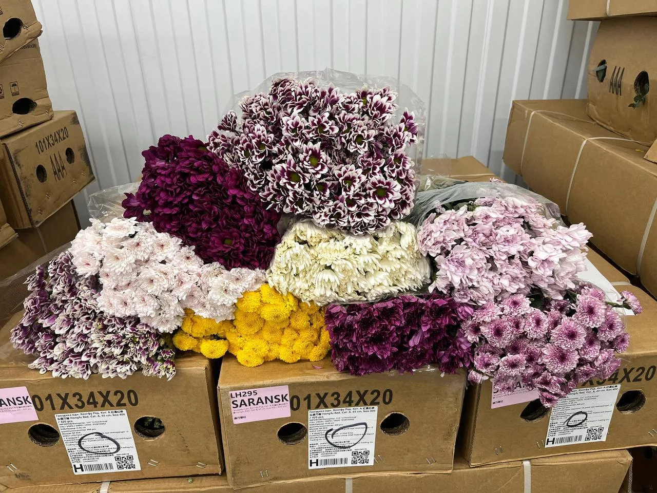 🌼 Хризантема в наличии на складе