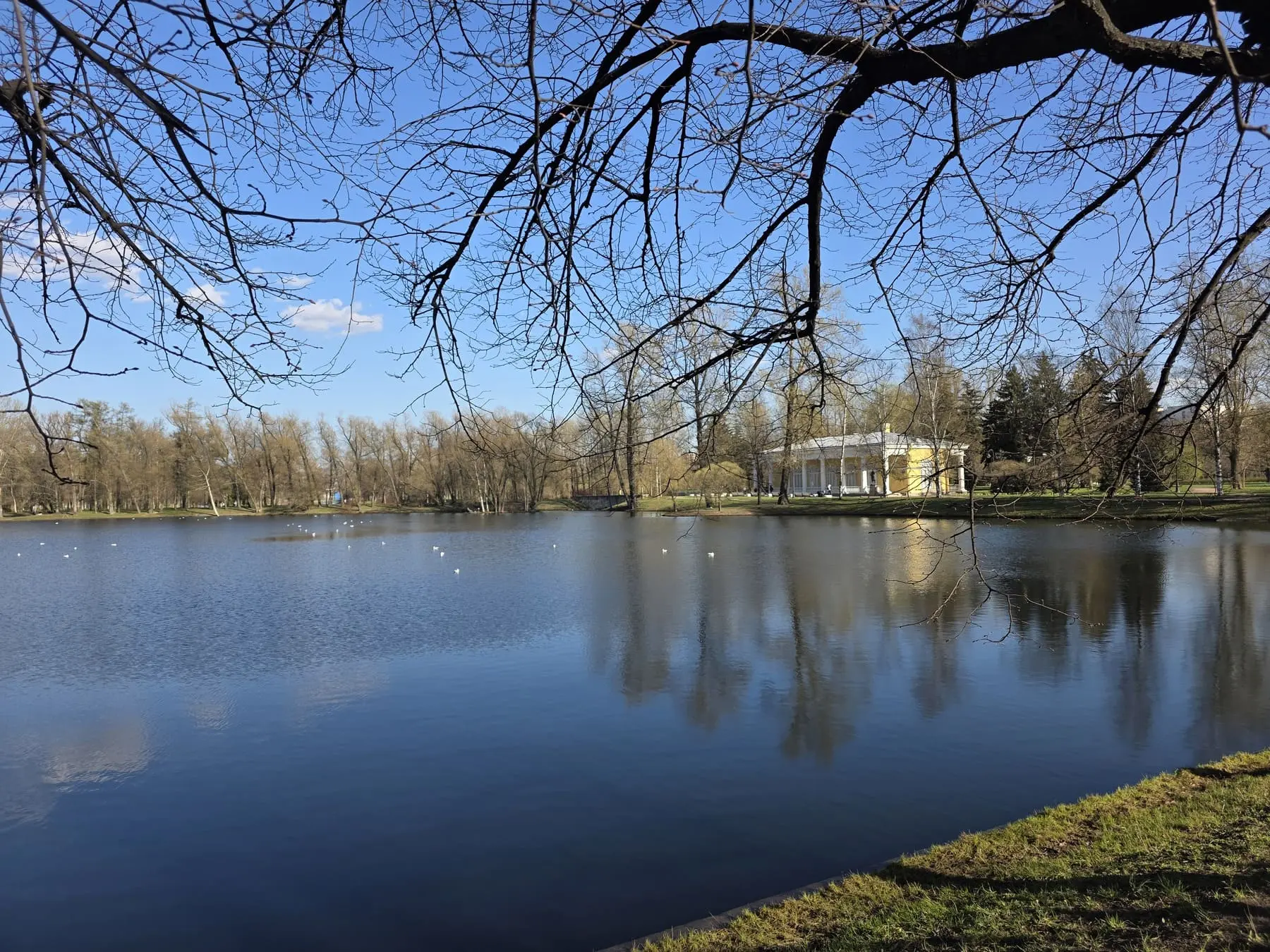 🏵 Акция «Походы памяти»: студенты кафедры музеологии и культурного наследия в экспозиции Главного па