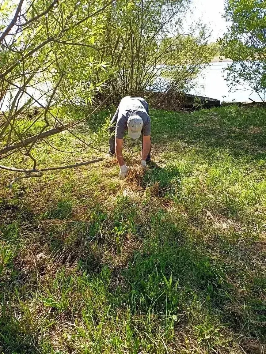 Ни дня без уборки 🌿  В Советском районе продолжается марафон чистоты: активные жители убираются на у