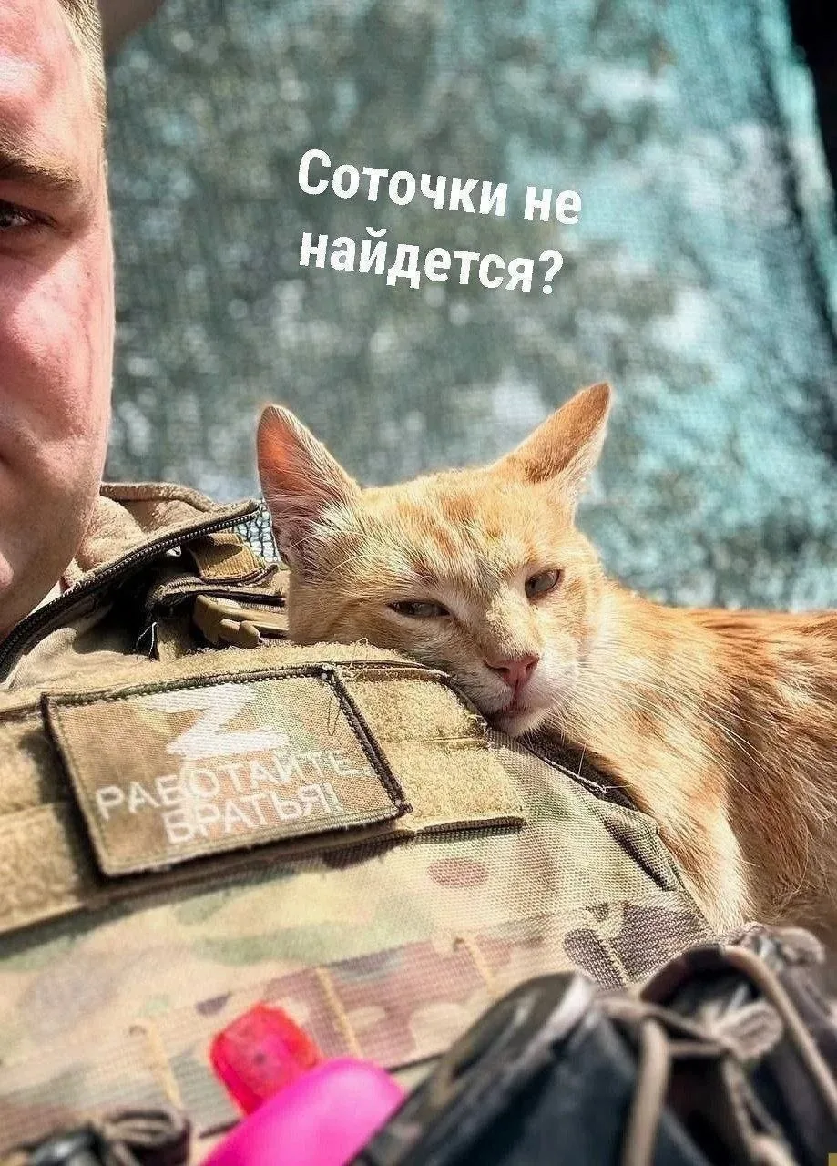 Родные наши💓

Врываемся🙏 в новую неделю добрыми делами.
Сегодня понедельник, а это значит, что мы 