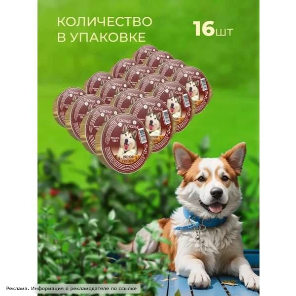 Хотите обеспечить питомцу всё необходимое? 😍
