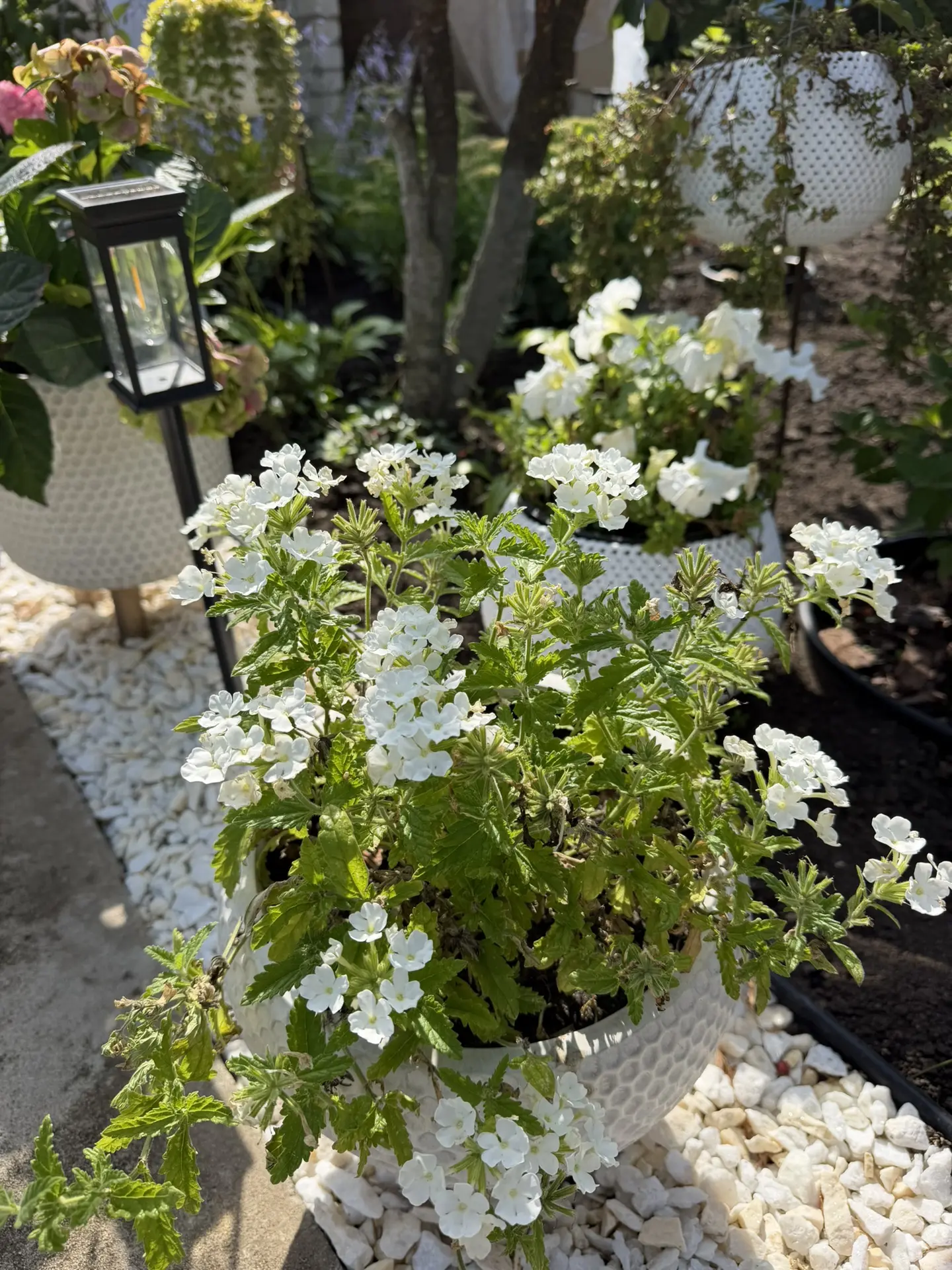 Доброе дачное 🌱